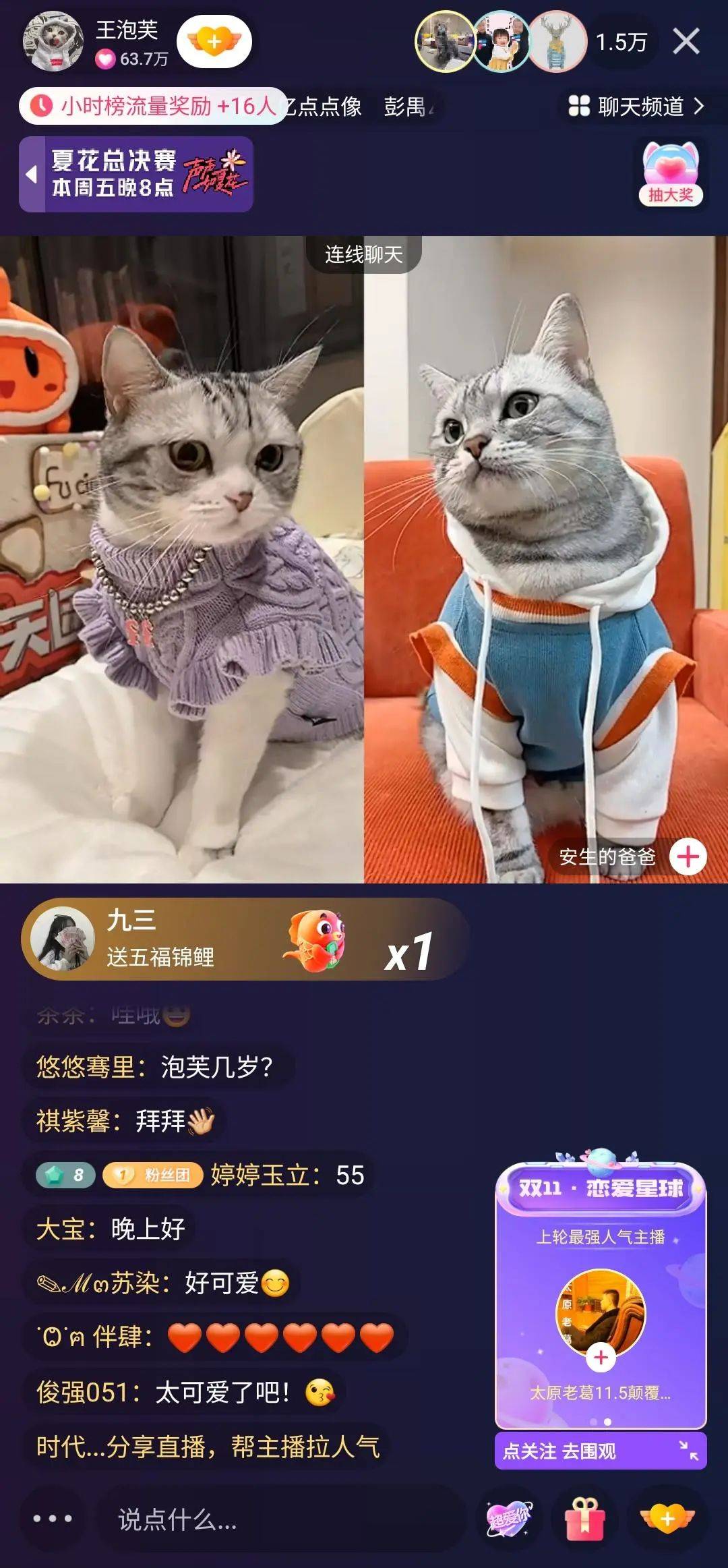 对话千万粉萌宠博主“王泡芙”：停更四个月，快手回归直播场观超500万