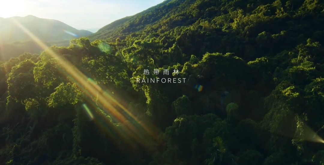 品牌热讯 | ubras 带你徒步探索冬日诗意；星巴克又「红」啦；雅顿 × 泡泡玛特邀你「胶」个朋友