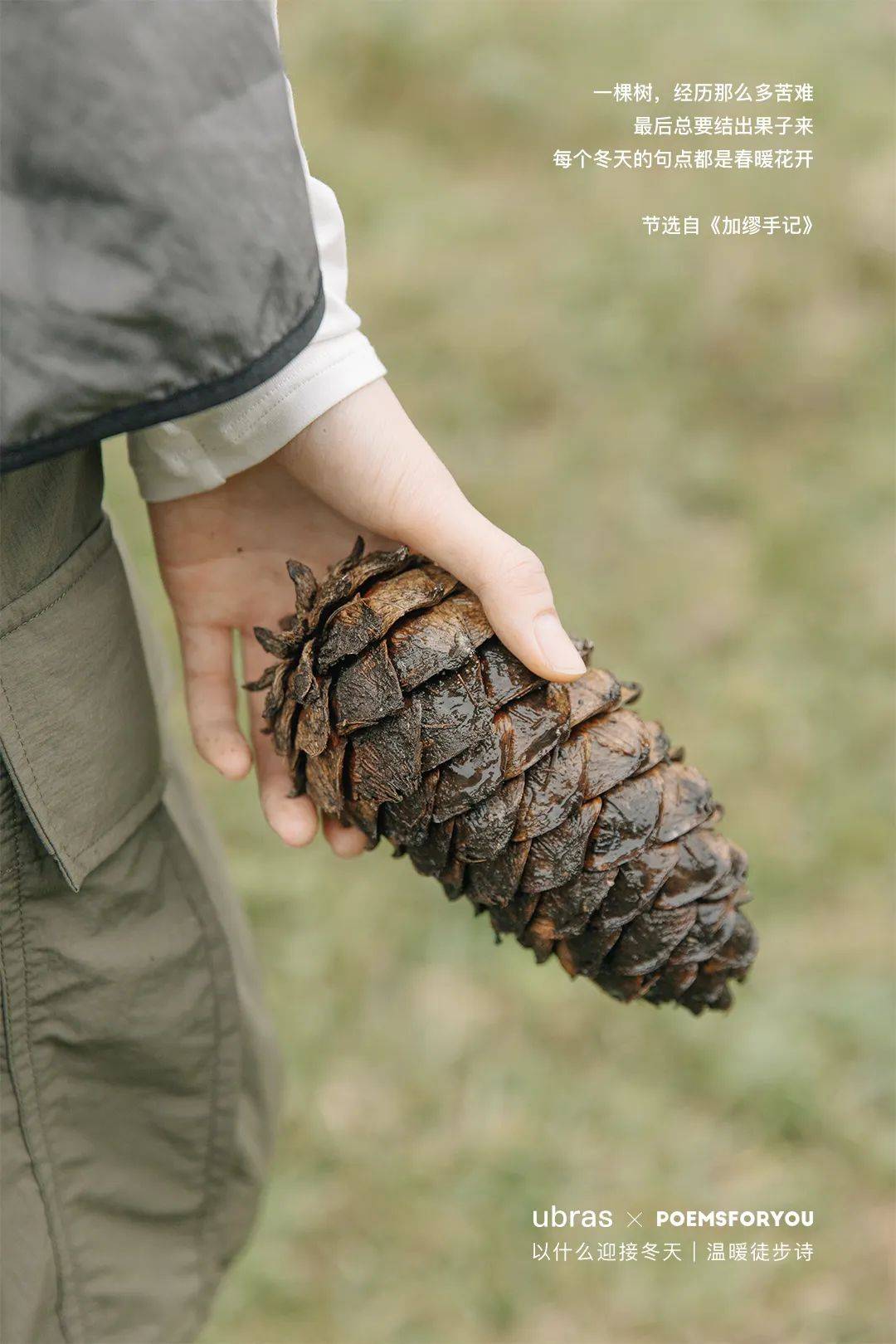 品牌热讯 | ubras 带你徒步探索冬日诗意；星巴克又「红」啦；雅顿 × 泡泡玛特邀你「胶」个朋友