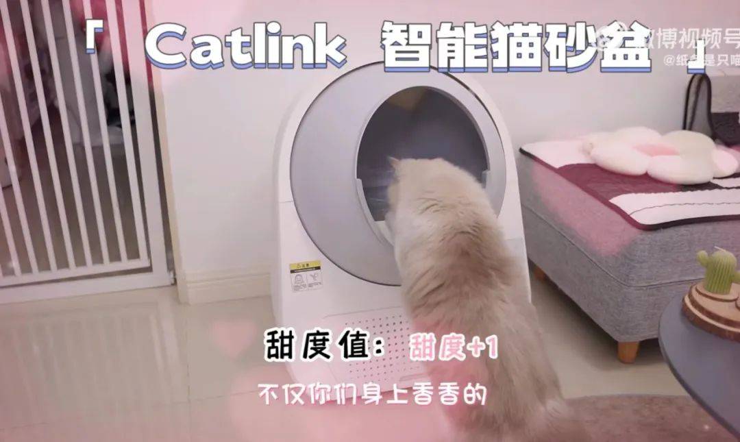 天猫变甜猫，双11甜度拉满了！