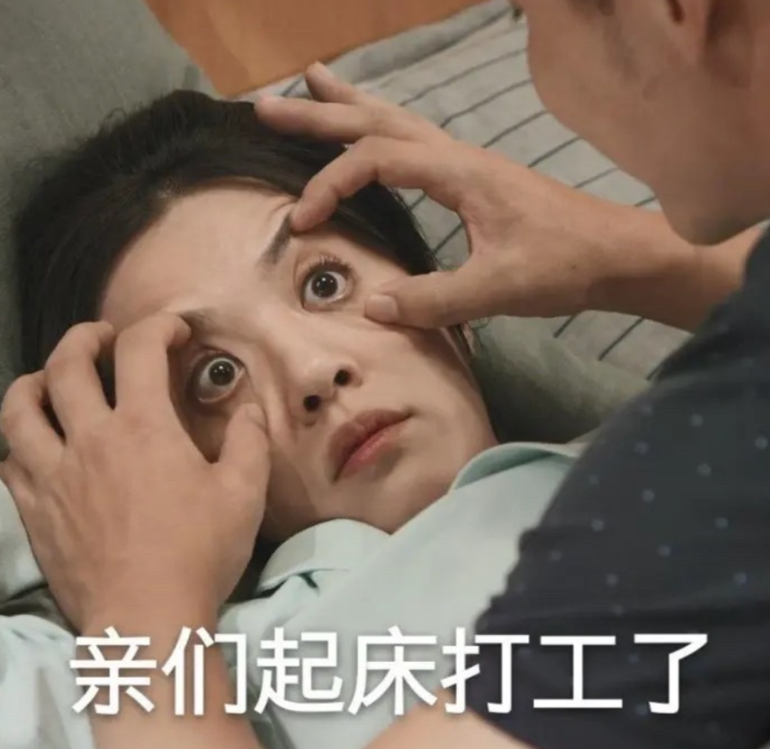 社畜隐入双十一