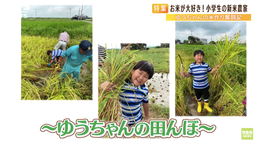 日本9岁小学生暑假租600㎡地,学会了种田,实现吃米饭自由!网友:动手能力比我强1000倍!
