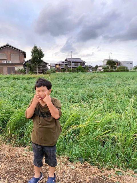 日本9岁小学生暑假租600㎡地,学会了种田,实现吃米饭自由!网友:动手能力比我强1000倍!