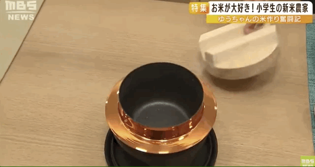 日本9岁小学生暑假租600㎡地，学会了种田，实现吃米饭自由！网友：动手能力比我强1000倍！