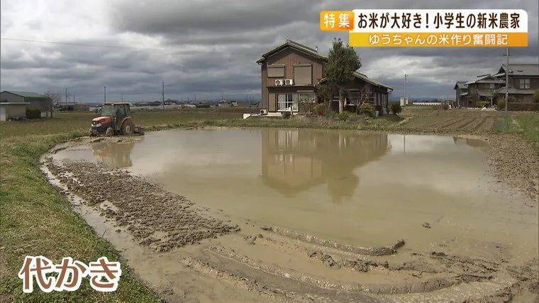 日本9岁小学生暑假租600㎡地,学会了种田,实现吃米饭自由!网友:动手能力比我强1000倍!