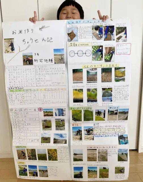 日本9岁小学生暑假租600㎡地,学会了种田,实现吃米饭自由!网友:动手能力比我强1000倍!