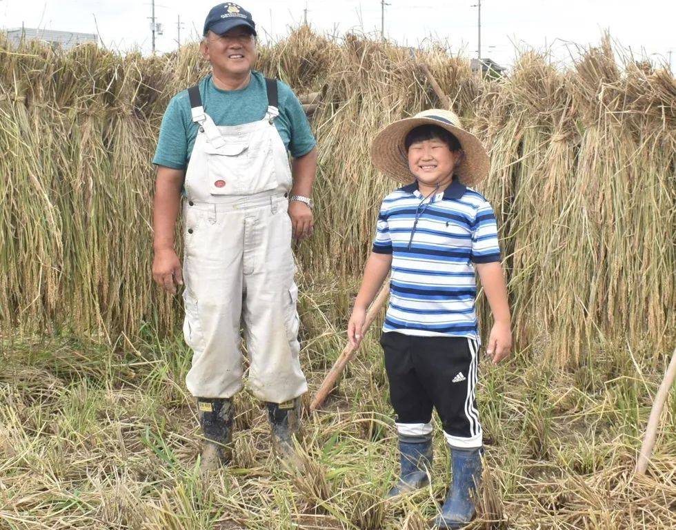 日本9岁小学生暑假租600㎡地,学会了种田,实现吃米饭自由!网友:动手能力比我强1000倍!