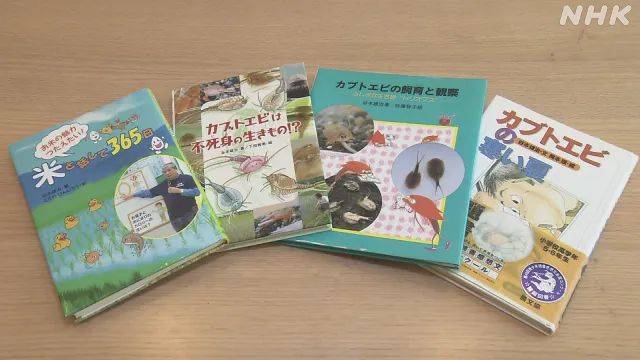 日本9岁小学生暑假租600㎡地,学会了种田,实现吃米饭自由!网友:动手能力比我强1000倍!