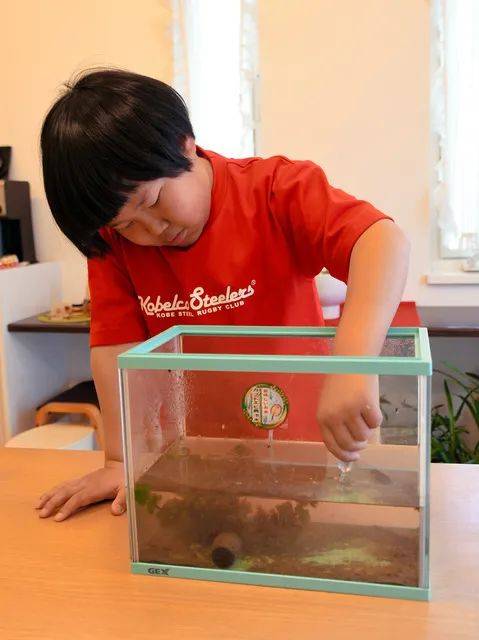 日本9岁小学生暑假租600㎡地，学会了种田，实现吃米饭自由！网友：动手能力比我强1000倍！