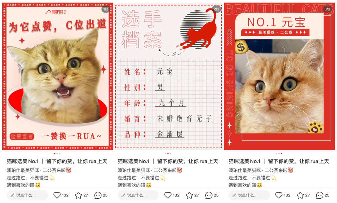 社畜隐入双十一