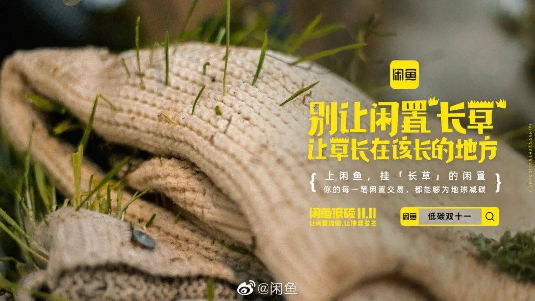 一语双关，今年双11闲鱼主打“长草”