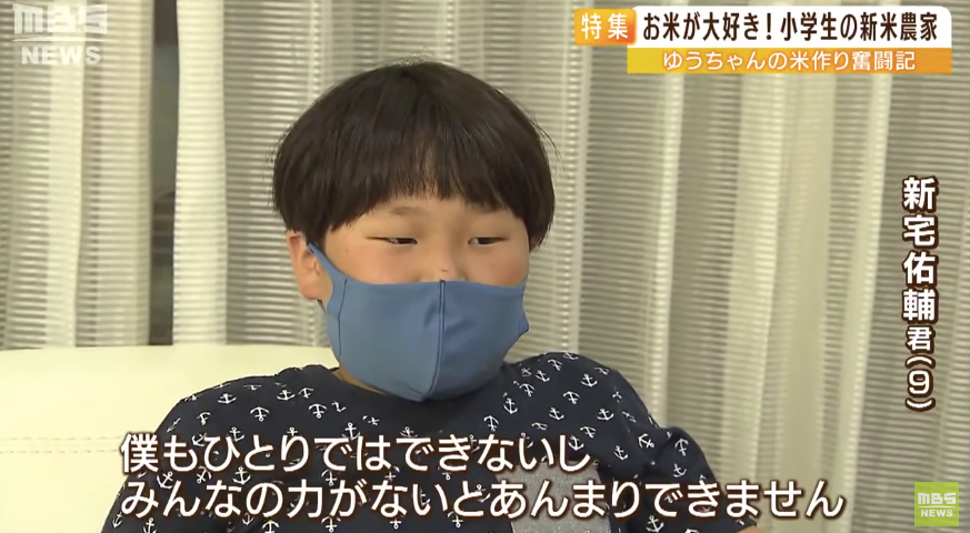 日本9岁小学生暑假租600㎡地，学会了种田，实现吃米饭自由！网友：动手能力比我强1000倍！