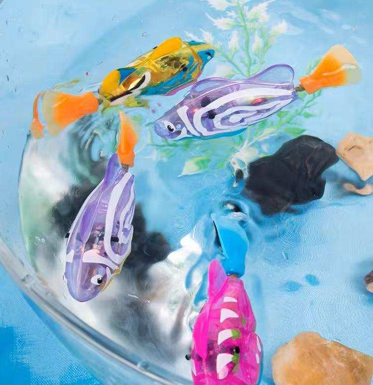 爬行成风潮，大学生迷惑行为大赏