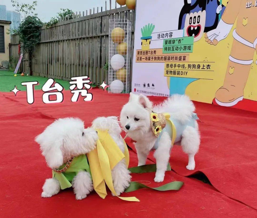 社畜隐入双十一