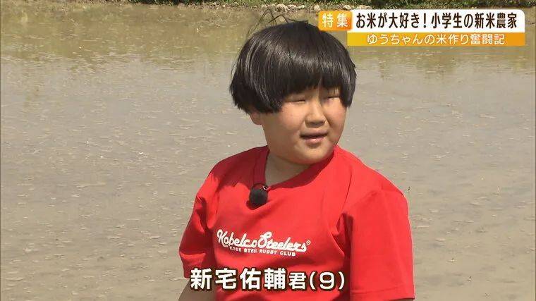 日本9岁小学生暑假租600㎡地,学会了种田,实现吃米饭自由!网友:动手能力比我强1000倍!