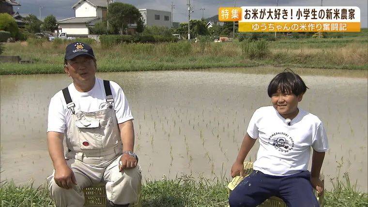 日本9岁小学生暑假租600㎡地,学会了种田,实现吃米饭自由!网友:动手能力比我强1000倍!