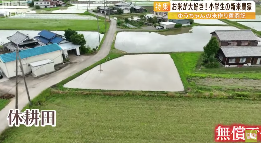 日本9岁小学生暑假租600㎡地，学会了种田，实现吃米饭自由！网友：动手能力比我强1000倍！