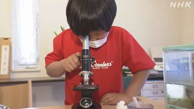 日本9岁小学生暑假租600㎡地,学会了种田,实现吃米饭自由!网友:动手能力比我强1000倍!