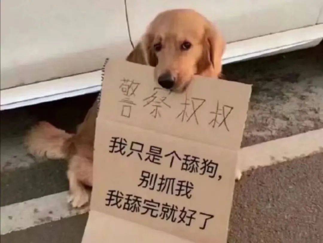 社畜隐入双十一