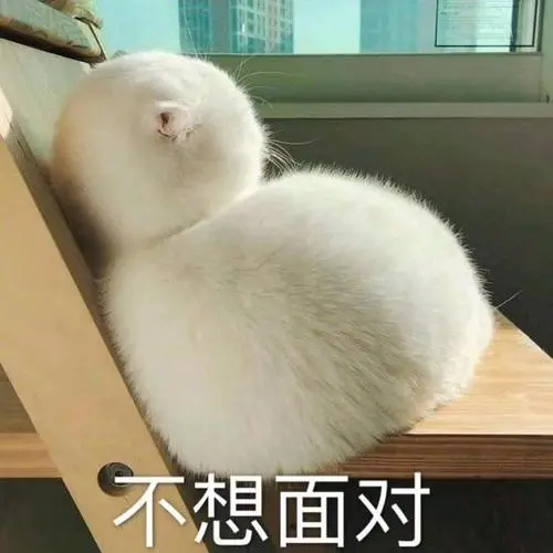 有效用户调研救了B端产品经理一命