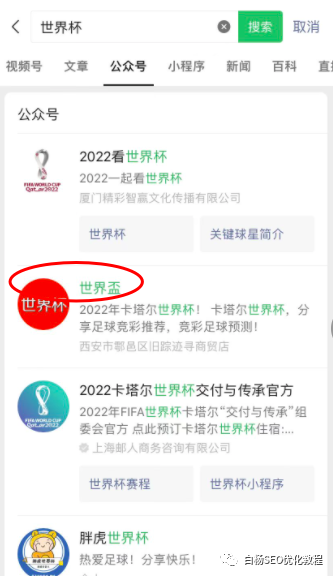 白杨SEO:做个世界杯公众号怎么样?以2022年世界杯搞搜一搜流量举例【干货】