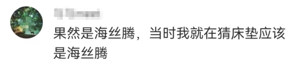 大S的百万“床垫”，惊呆网友！