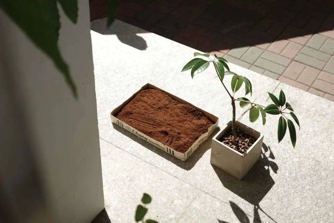 未来10年，广告人一定要懂ESG营销！