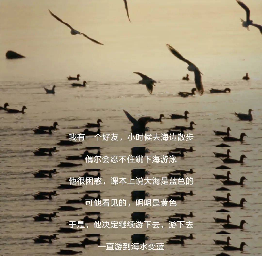 脱离华为两年后，荣耀 x 贾樟柯讲述自己“第二年”
