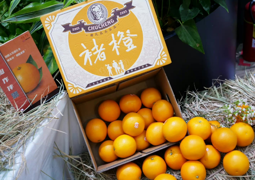 本来生活，又炒褚橙的冷饭？| 锐观察