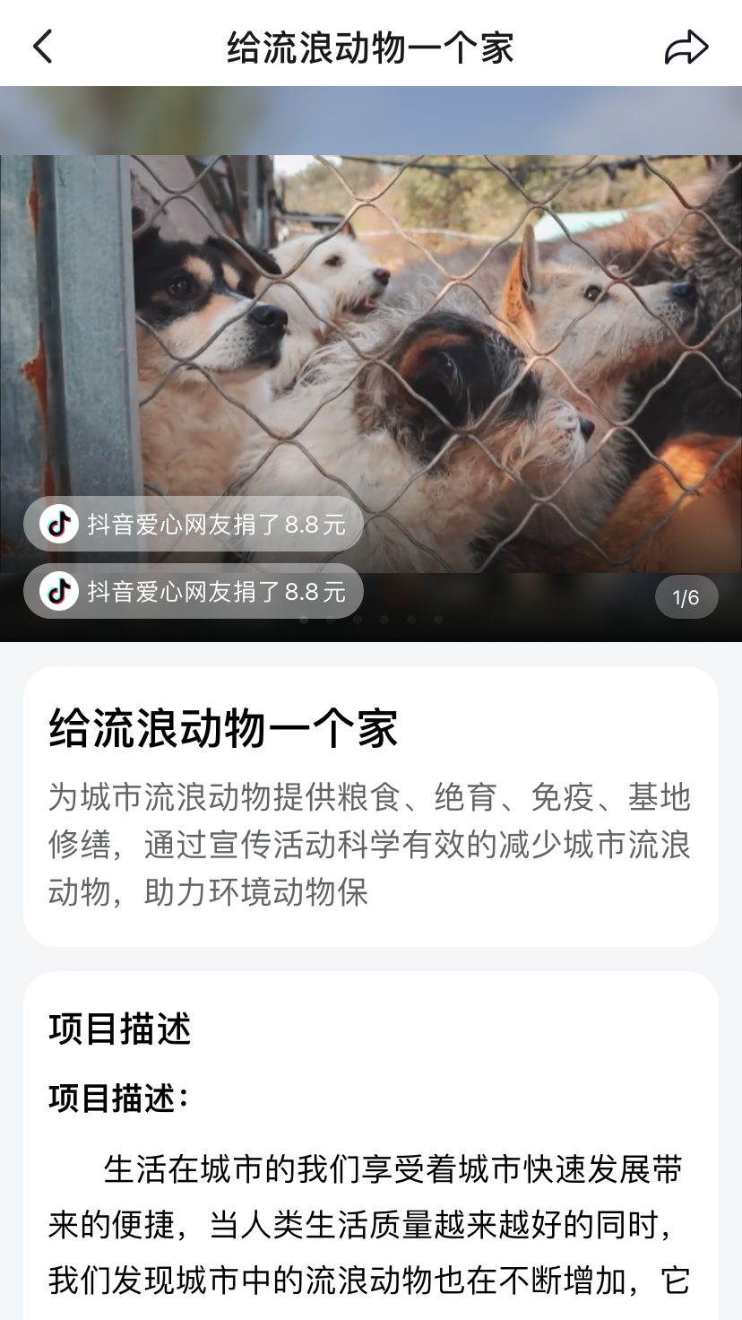 国际残疾人日，抖音讲了三则故事