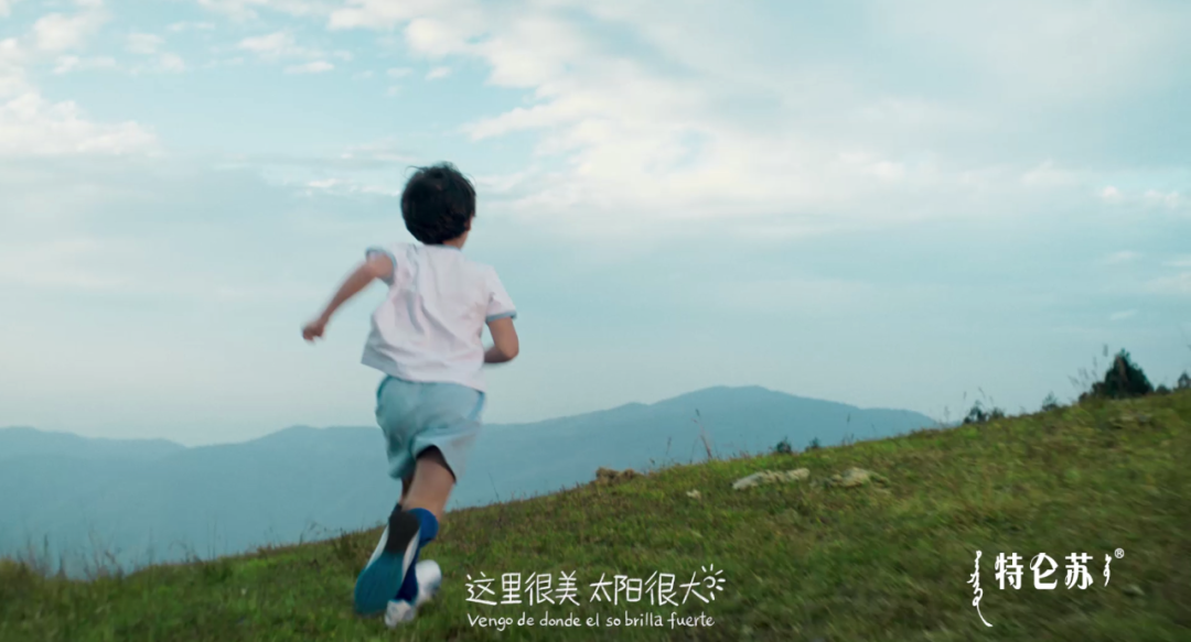 世界杯营销赛场，特仑苏“反向”出线