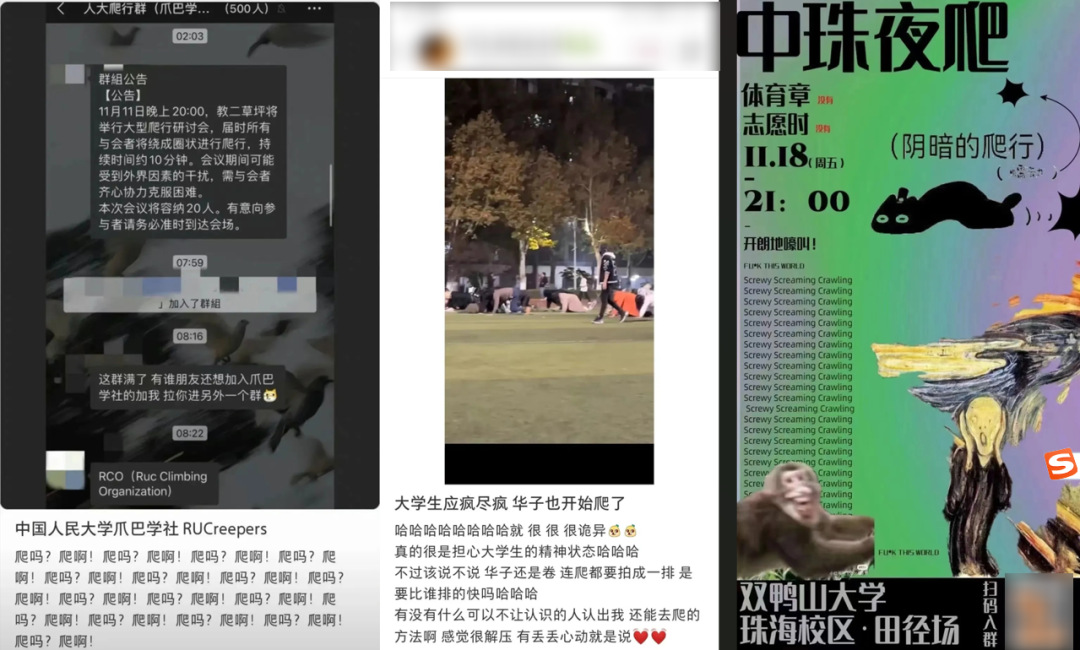 靠“爬行”在小红书获赞数万，这届年轻人发起疯来也太迷惑了……