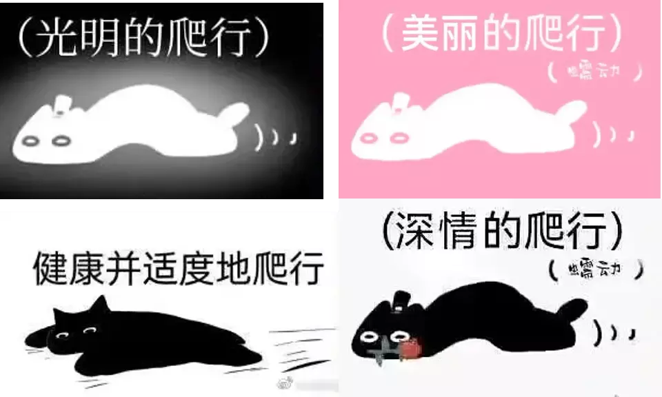 靠“爬行”在小红书获赞数万，这届年轻人发起疯来也太迷惑了……