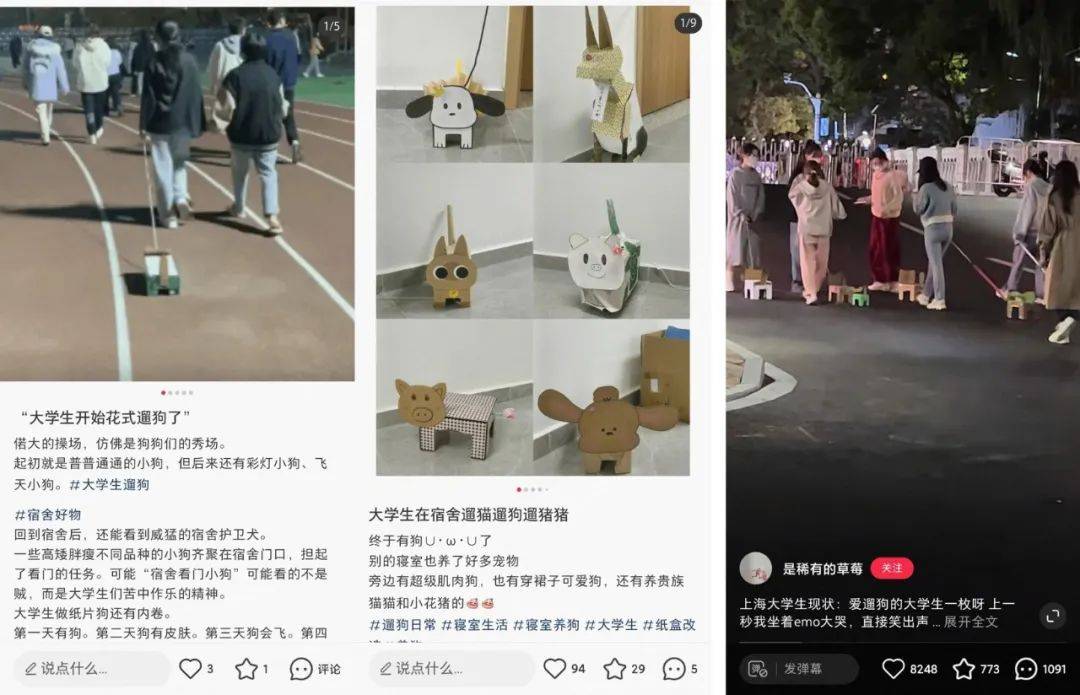 靠“爬行”在小红书获赞数万，这届年轻人发起疯来也太迷惑了……