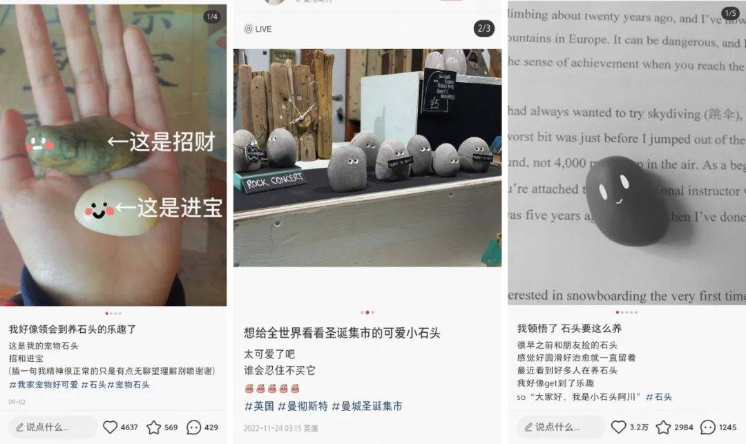 靠“爬行”在小红书获赞数万，这届年轻人发起疯来也太迷惑了……