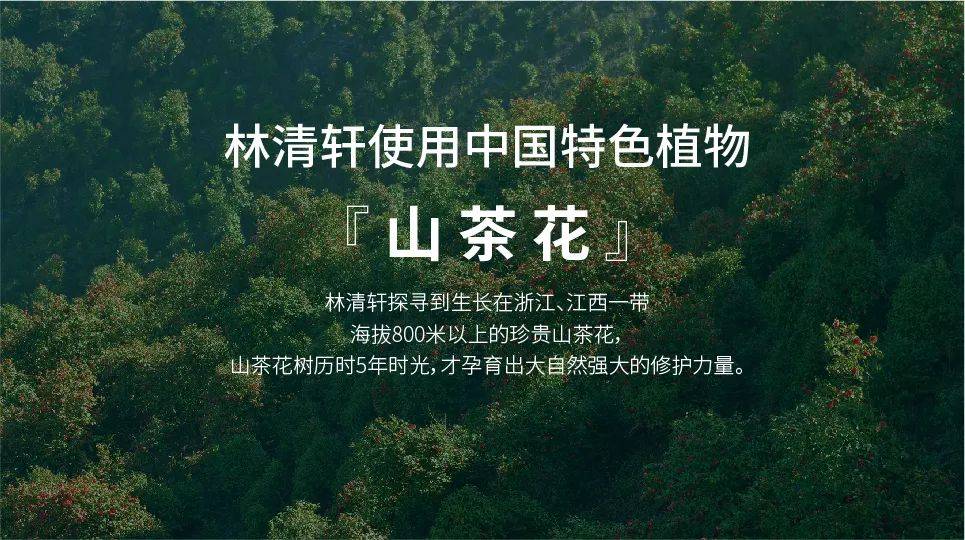 国货品牌打败国际大牌，为何林清轩又是精华油热卖榜第1？| 专访林清轩创始人孙来春