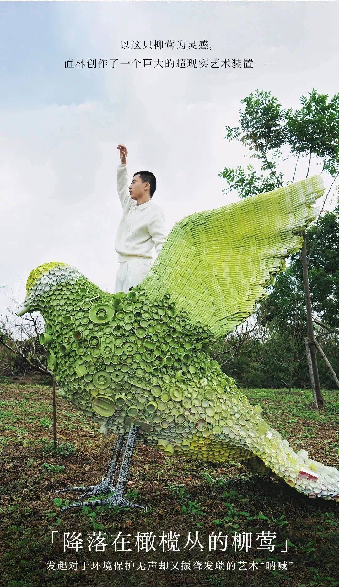 携手艺术家“复活”一只鸟？一叶子与地球展开对话