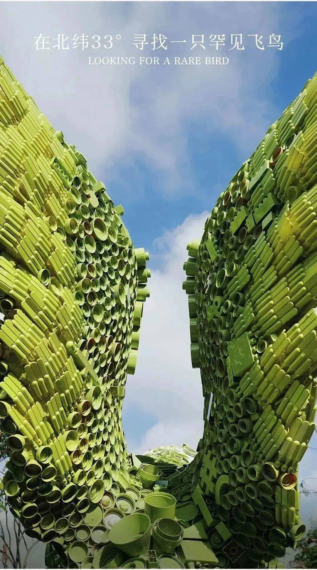 携手艺术家“复活”一只鸟？一叶子与地球展开对话