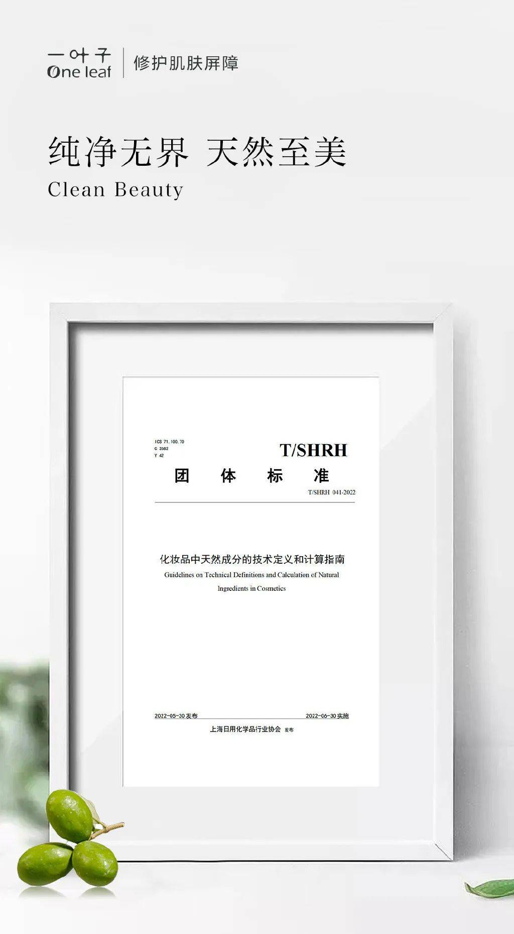携手艺术家“复活”一只鸟？一叶子与地球展开对话