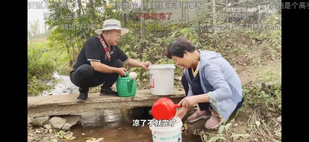 老年UP主“占领”B站