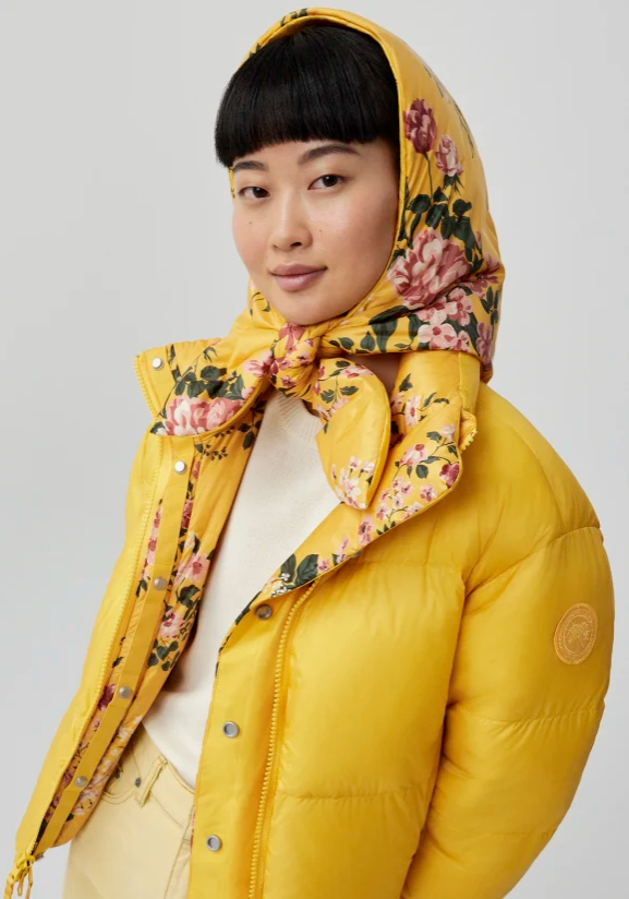 加拿大鹅有东北那味儿了，我当场笑出鹅叫！