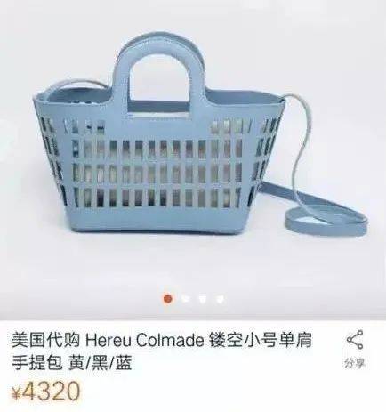 加拿大鹅有东北那味儿了，我当场笑出鹅叫！