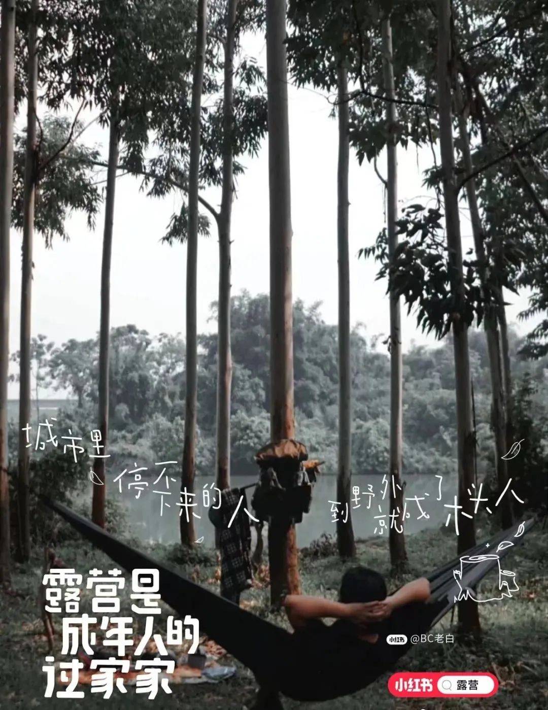 2022年,我心中最好的22句文案