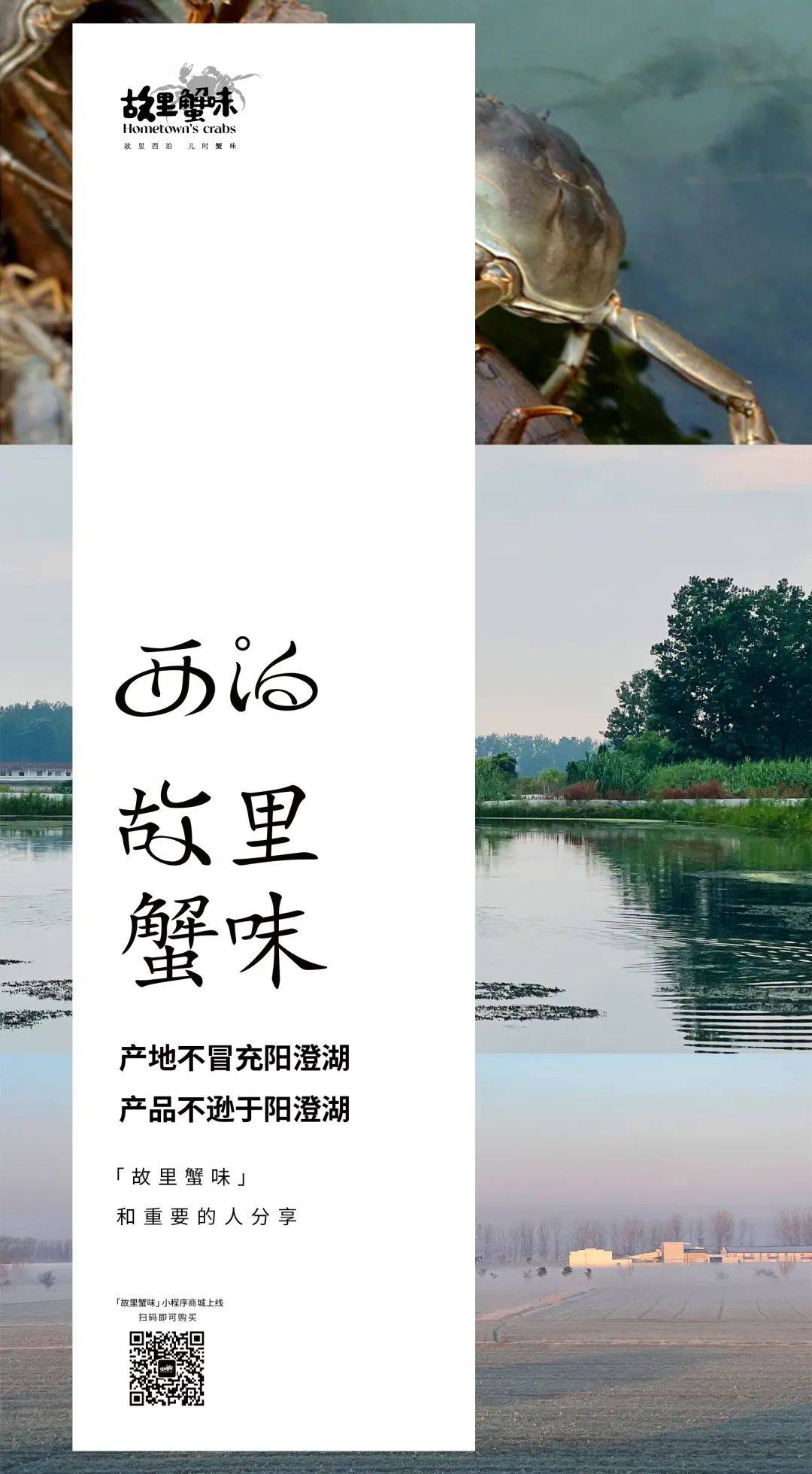 2022年，我心中最好的22句文案