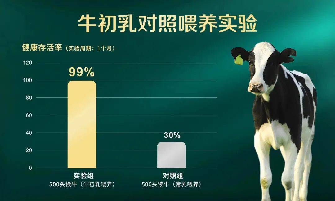 品类战争：霸屏三大顶级年终秀的爱本，与成人配方奶粉的春天