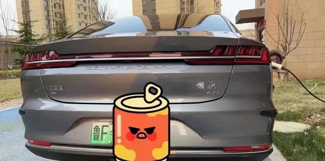 又被骂了!比亚迪新LOGO,以甲骨文为灵感,却跟牙线长得一摸一样?网友:只能说丑得很有底蕴……