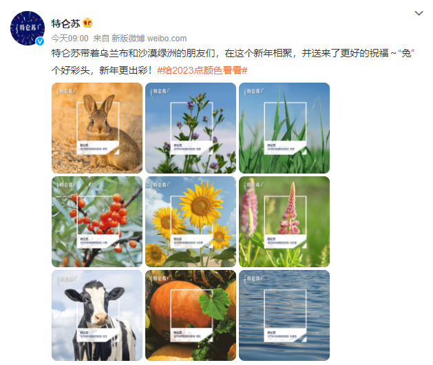 特仑苏又出爆款，这组新年限定款为何深入人心？