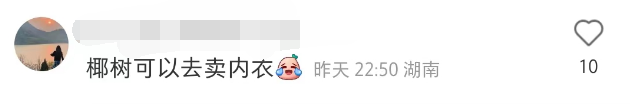 椰树偷偷卖情趣内衣，评论区笑疯了！