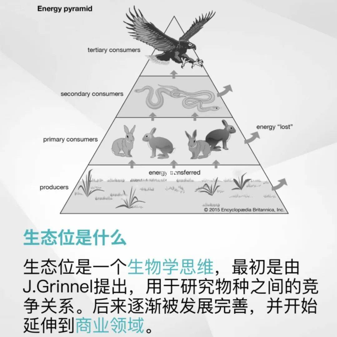 saas产品只做留存不做拉新，可行吗？