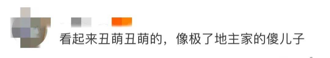 辣眼睛！淘宝“土味”设计又来了，新LOGO设计又丑又萌，像极了地主家的傻儿子？网友：你吵到了我的眼睛！